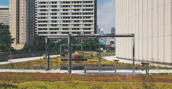 西安市最新消息今日天气，西安市最新天气情况预报